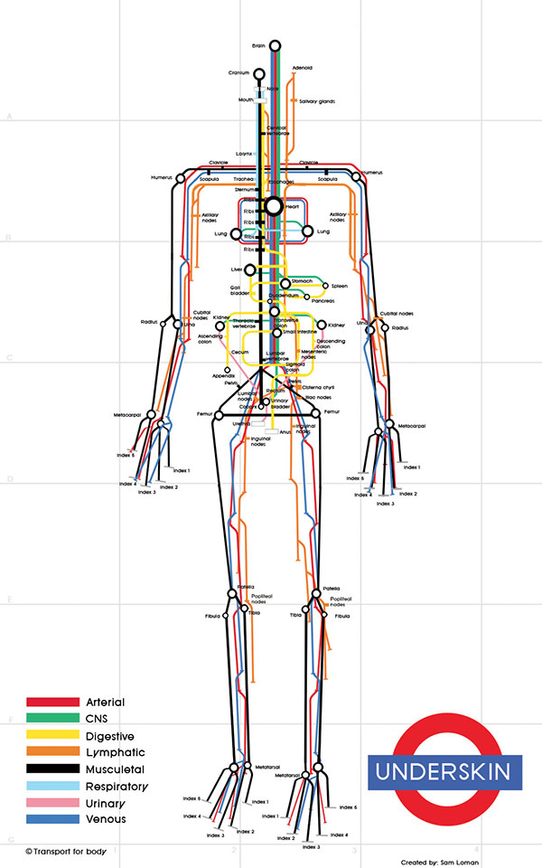 human_subway_map2.jpg