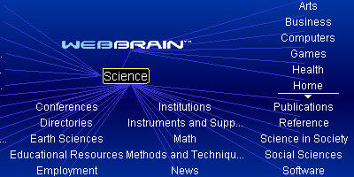 webbrain.jpg