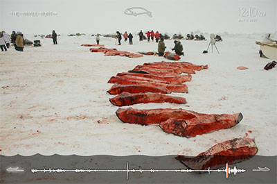 whale_hunt4.jpg