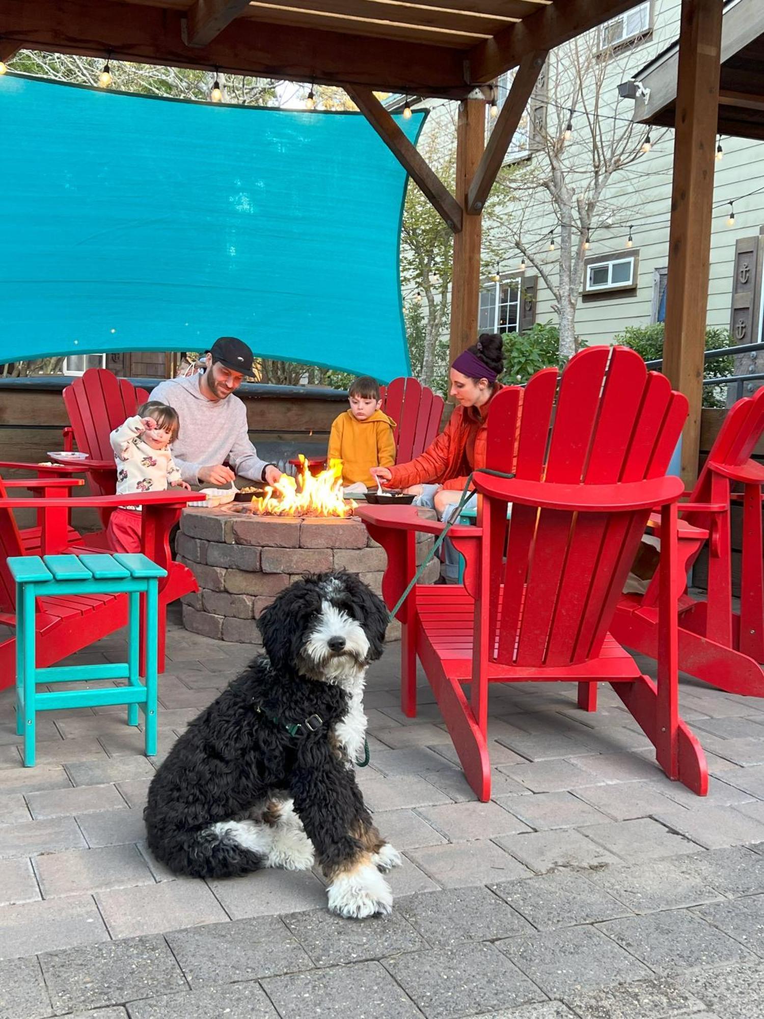 6 Pacific Northwest Hotels Travelers Pick for Their Location